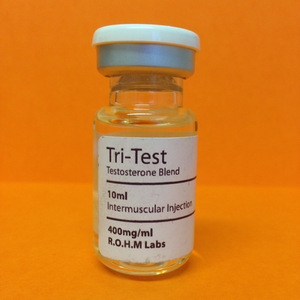 Test 400 multi testosterone blend (Testosterone Blend)