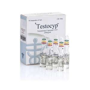 Testocyp - Testosterone Cypionate (Testosterone Cypionate)