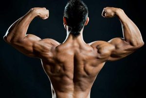 effect of anabolic steroids